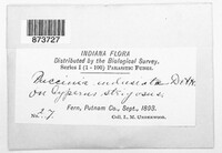 Image Associated With the Occurence